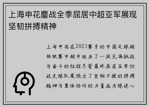 上海申花鏖战全季屈居中超亚军展现坚韧拼搏精神