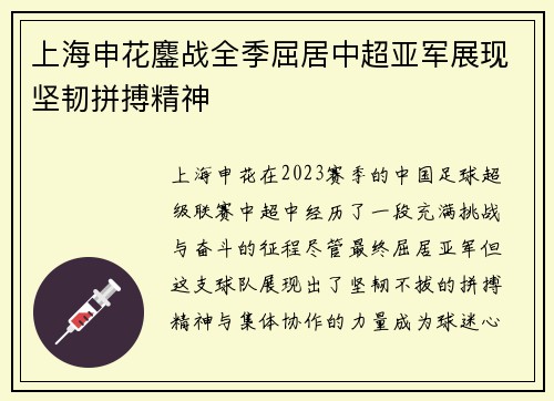 上海申花鏖战全季屈居中超亚军展现坚韧拼搏精神